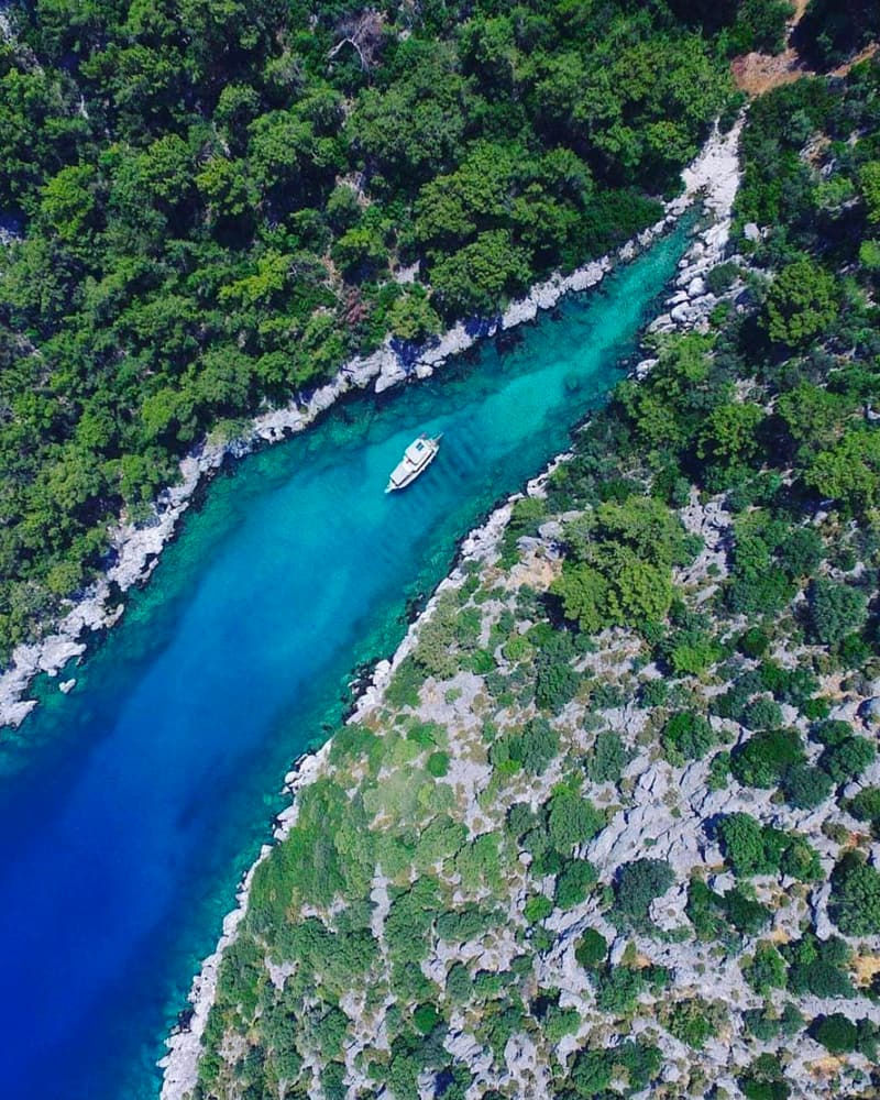 Buzağılık Bay