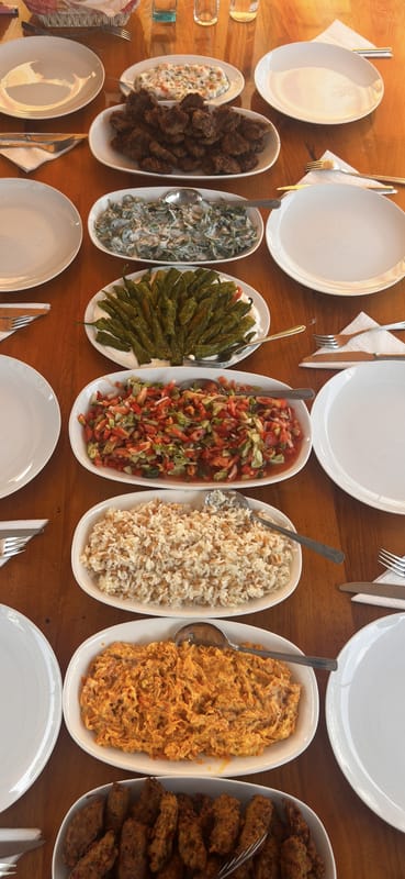 The long wooden table on board, set with dishes: meatballs, a yoghurt meze, fried green peppers, chopped salad and rice, with empty plates and cutlery down both sides